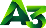 A3